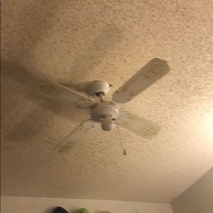 Meet your Posher, Franklin